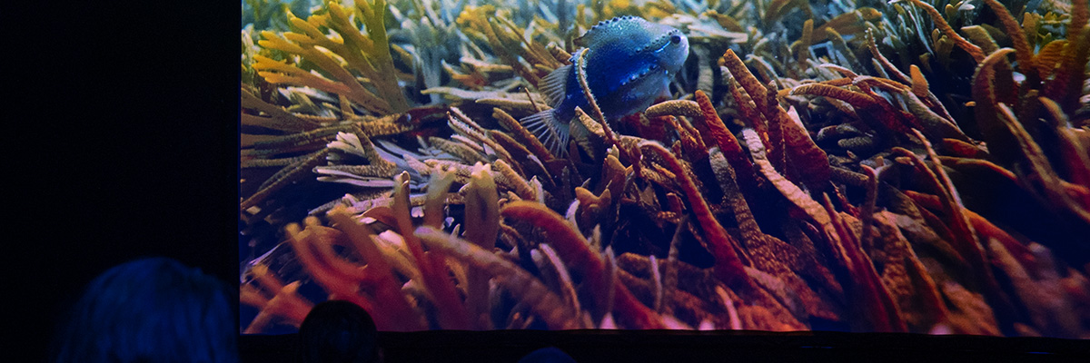 Immersive projection showing a blue fish swimming among colorful seaweed, viewed in a dark room by silhouetted visitors in the foreground.