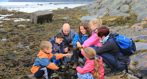 Un groupe d'adultes et d'enfants regardent des algues à marée basse.