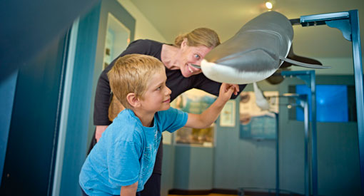Une femme et un enfant observent une maquette de baleine. 