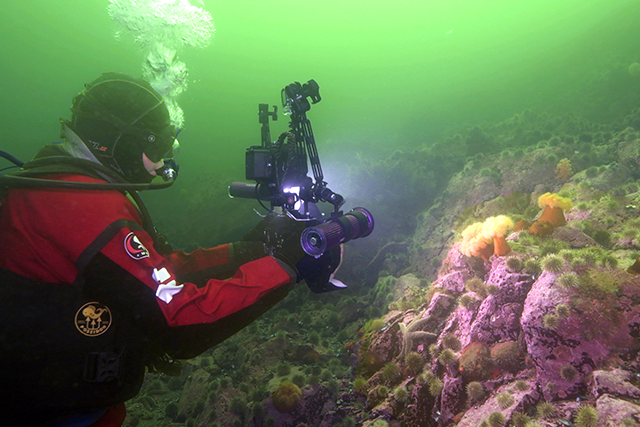 Un plongeur dans une combinaison rouge observe une falaise marine à quelques mètres de profondeur sous la surface. 
