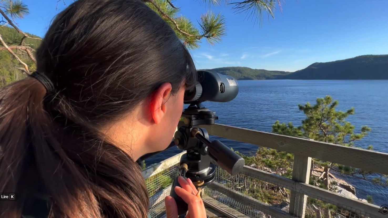Une personne regarde à travers des jumelles pour réaliser un suivi scientifique sur l'observation du béluga depuis la rive.