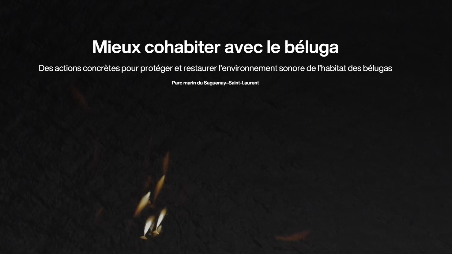 Page couverture de la carte narrative