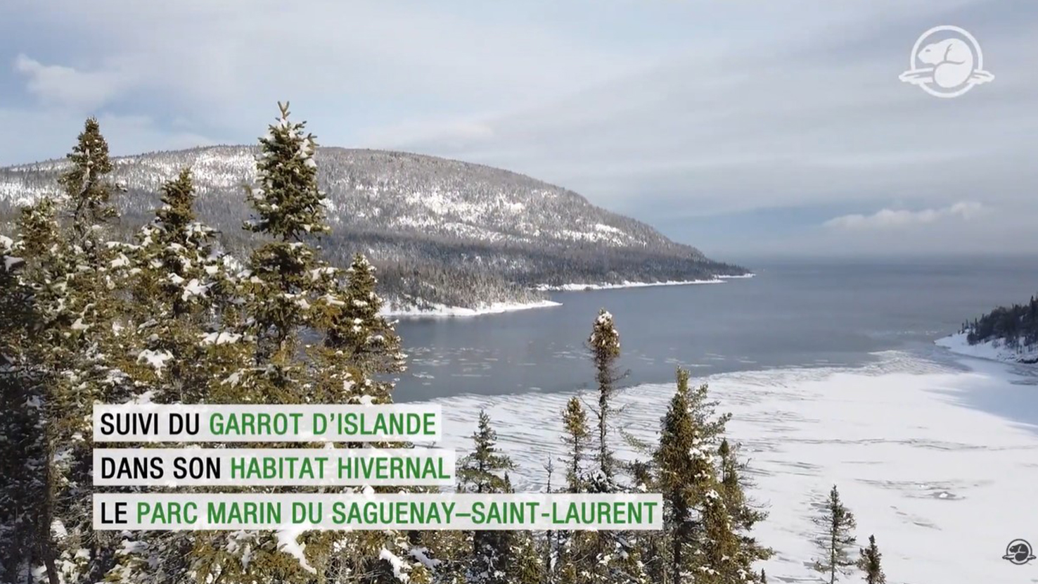 Une baie entourée de montagnes enneigées en plein hiver avec des conifères en premier plan.