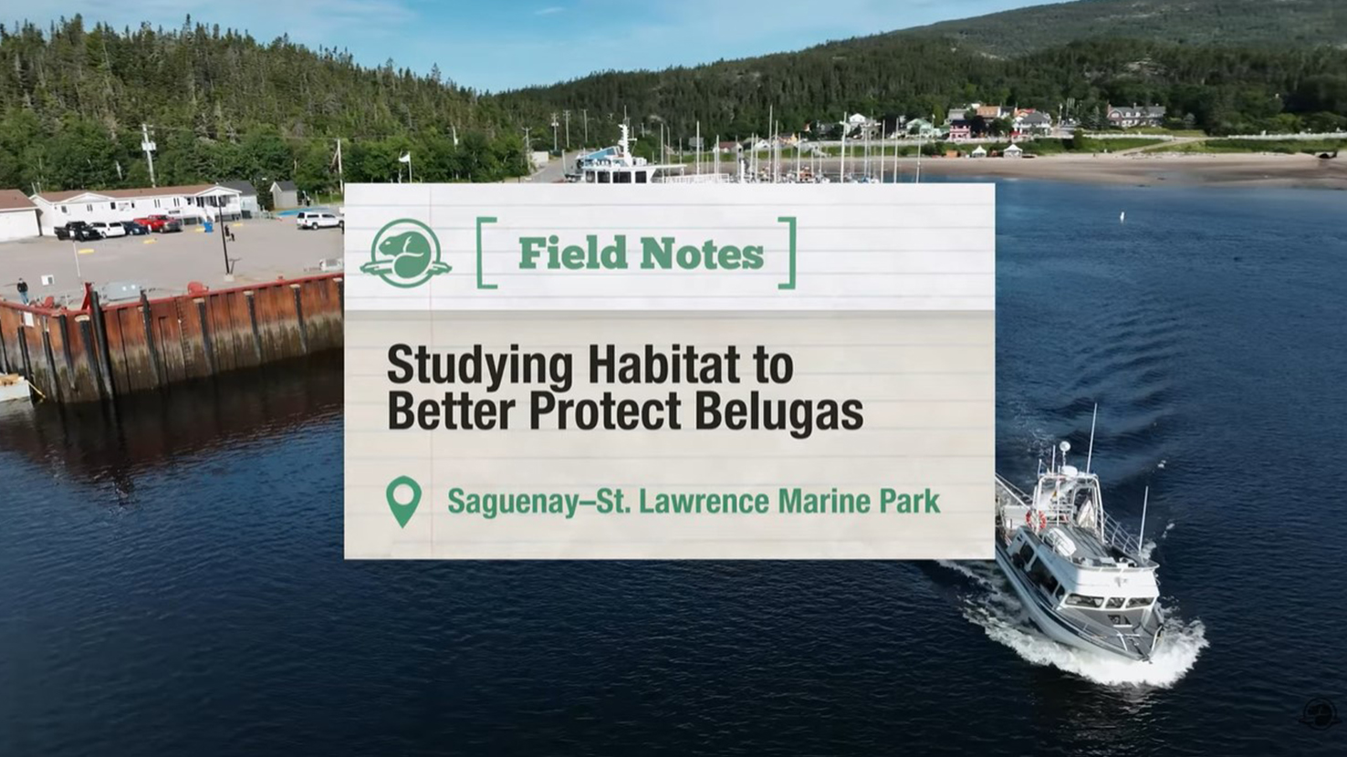 Screenshot from the video showing the marine park’s research vessel.