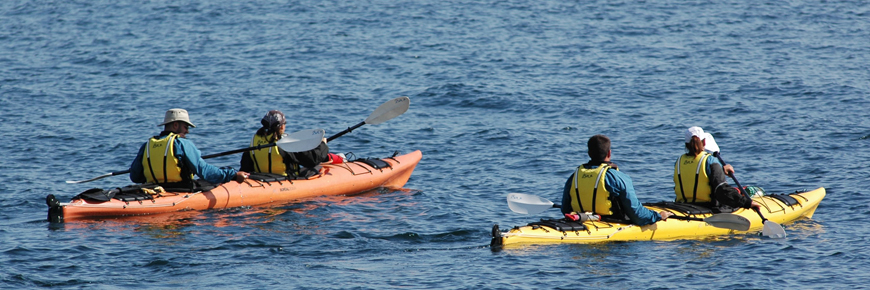Tandem kayakers traveling on the surface of the water.