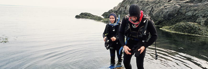 Divers prepare themselves for a dive with both feet in the water.