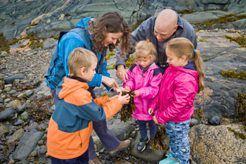 Deux adultes et trois enfants analysent des algues retrouvées sur la berge à marée basse. 