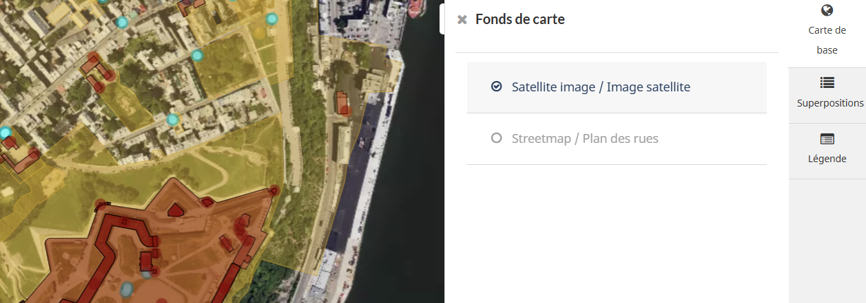 L'outil fond de carte avec l'option Image satellite  sélectionnée.