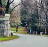 cimetière Mount Pleasant