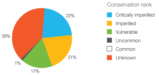 Figure 11: Conservation Status of Species at Risk in Parks Canada's Heritage Places