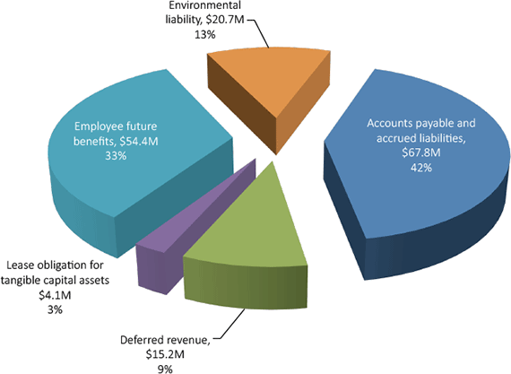 Pie Chart - Liabilities