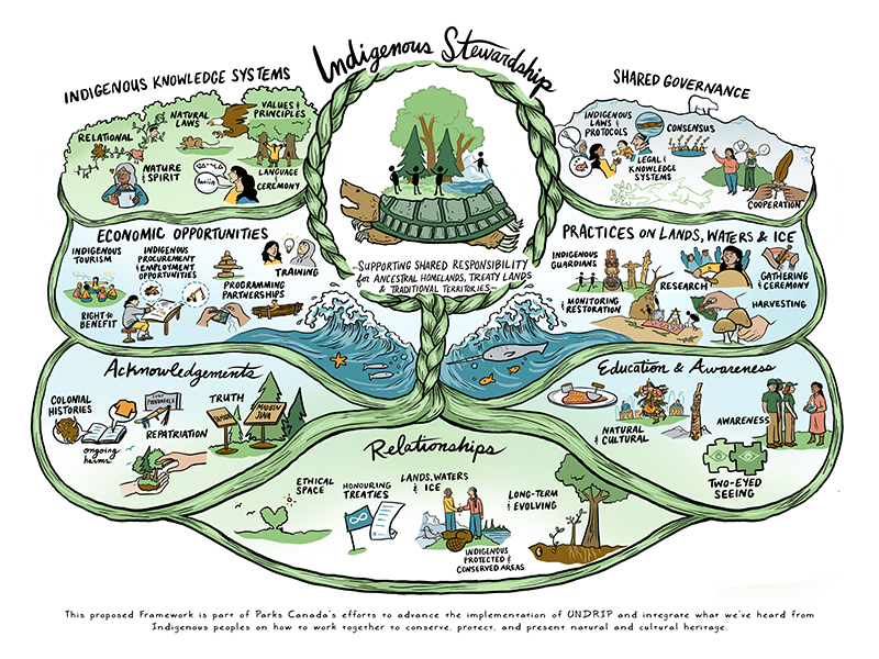 Indigenous stewardship infographic - Text version follows.