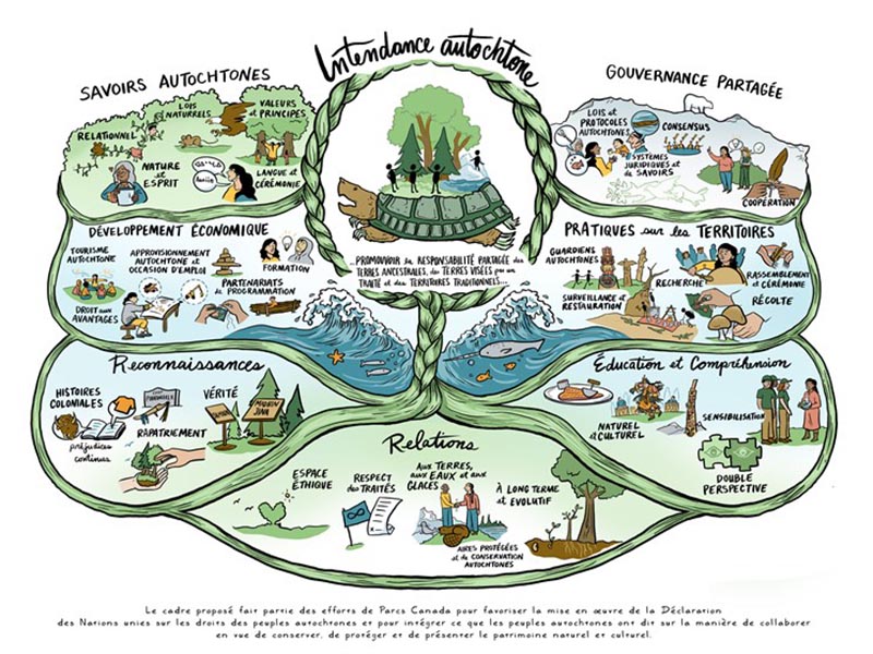 Infographie sur l'intendance autochtone - La version texte suit.