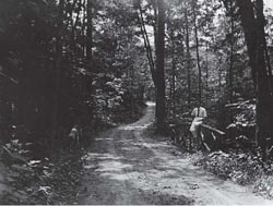 Manor House Road and the bridge, circa 1915