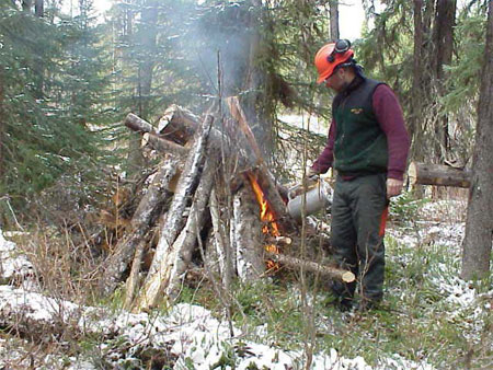 Photo shows worker lighting pile of logs on fire