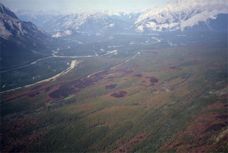 Les incendies créent une mosaïque de portions de forêt brûlées et non brûlées dans la vallée Bow, parc national Banff.