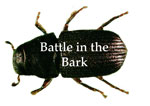 Battle in the Bark Button