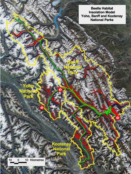 />A map produced from the model showing the red areas that are susceptible areas to beetle outbreak.