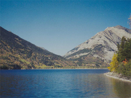  The most noticeable effect here has been an increase in forest diversity. Rapid growth of aspen poplar is evident in the more recent photos, as are areas of standing dead pine and some windfall. 