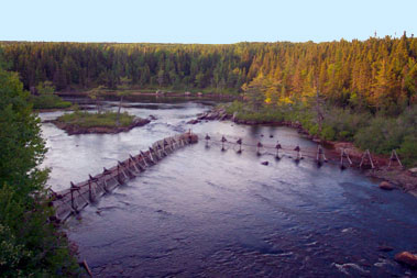 Counting fence in a river