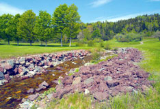 Dickson Brook