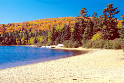 Beach along the shore of Lake Edouard