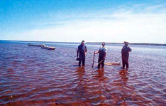 Group of fishermen in the water