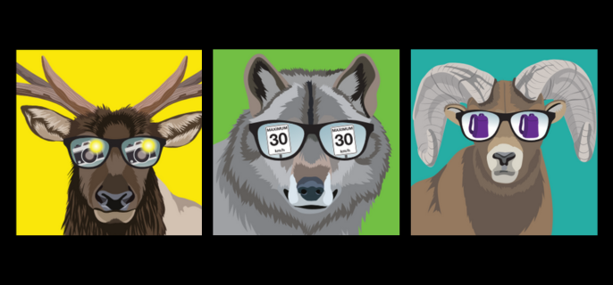 An Elk, Wolf, and Fox wear sunglasses, reflecting different visitor rules that help keep wildlife safe.  
