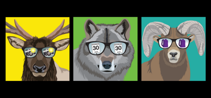 An Elk, Wolf, and Fox wear sunglasses, reflecting different visitor rules that help keep wildlife safe.