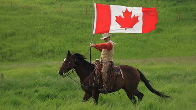Cavalier tenant un drapeau du Canada