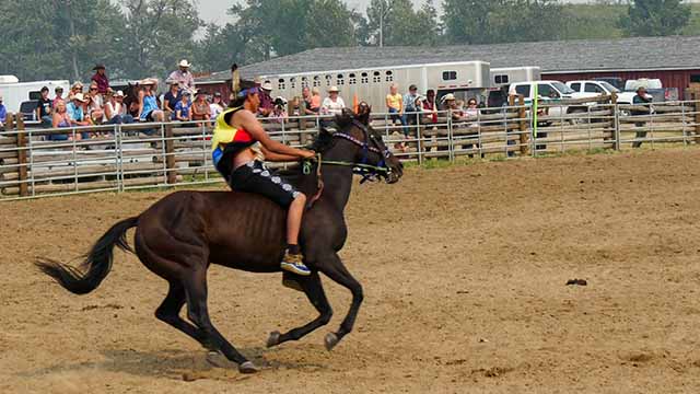 Person riding bareback on a horse in an arena