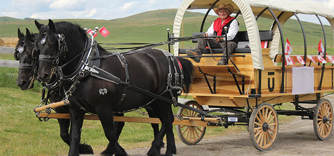 A wagon pulled by horses