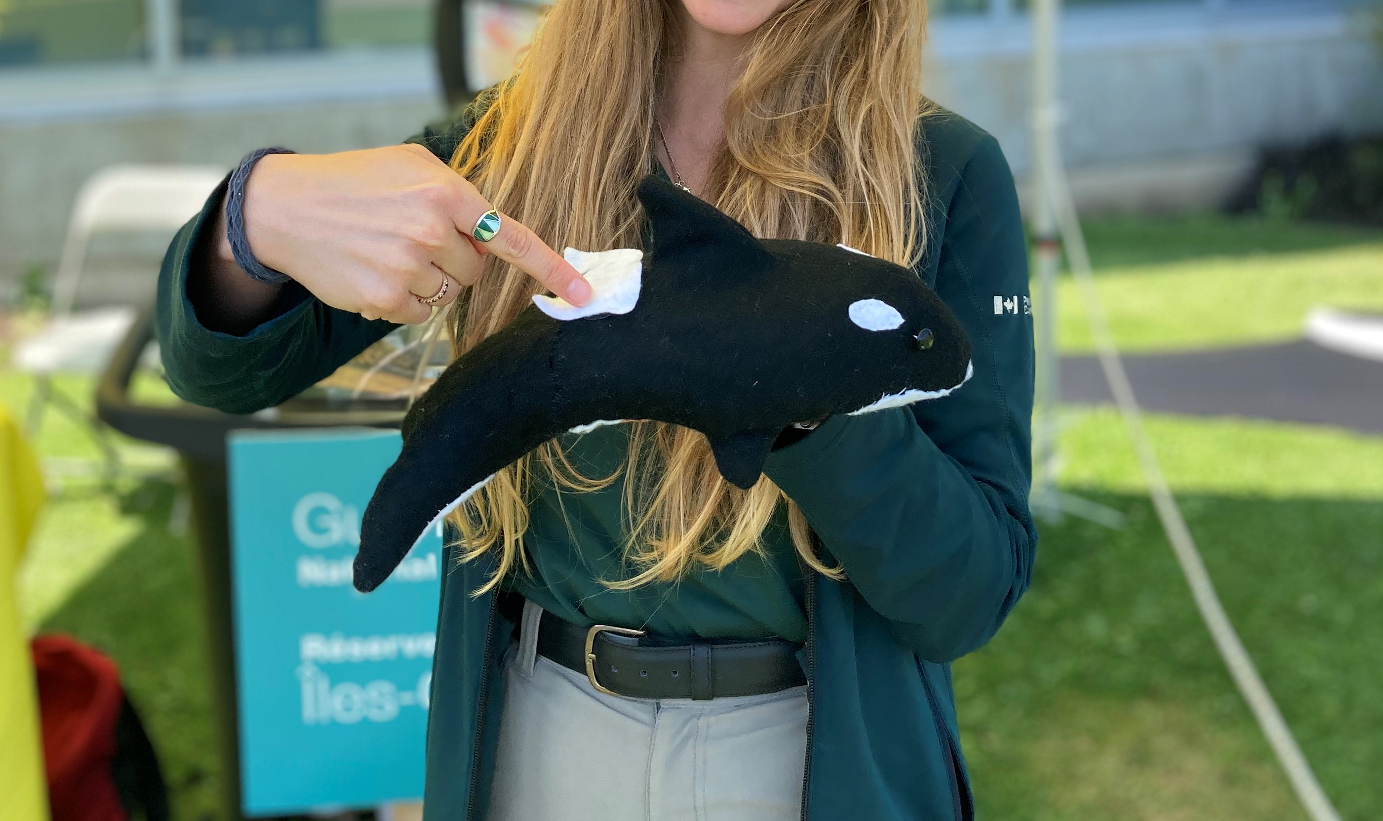 Photo of a Parks Canada interpreter in uniform pointing the saddle patch marking on the back of a killer whale stuffy. 