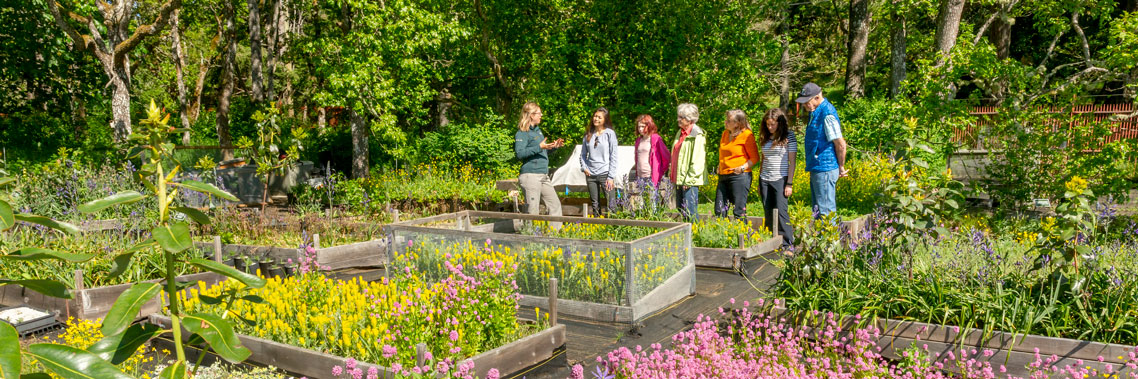 A group of people listen to a Parks Canada interpreter in the Garry Oak Learning Meadow. 