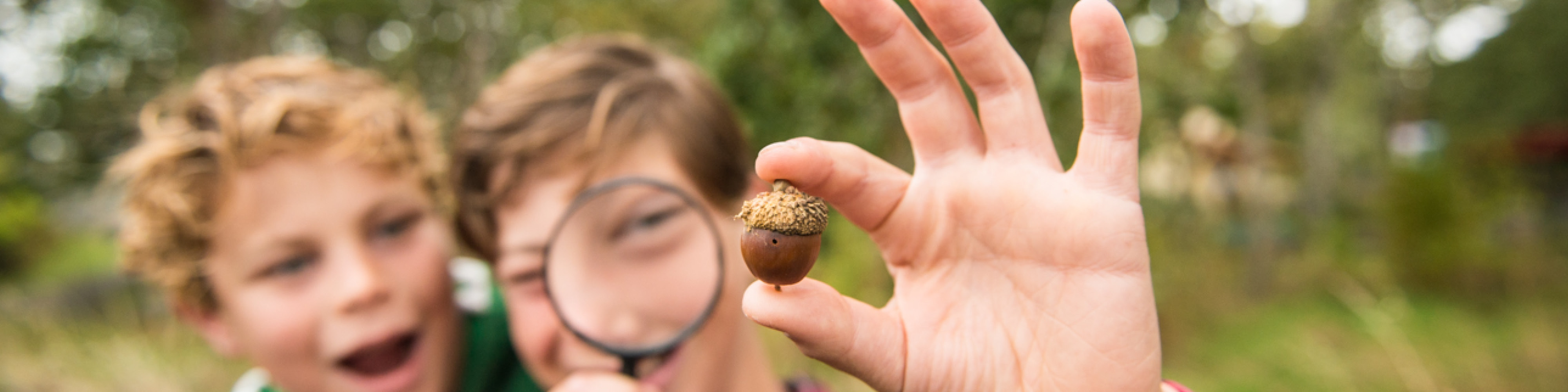 Two children looking at an acorn through a magnifying glass.