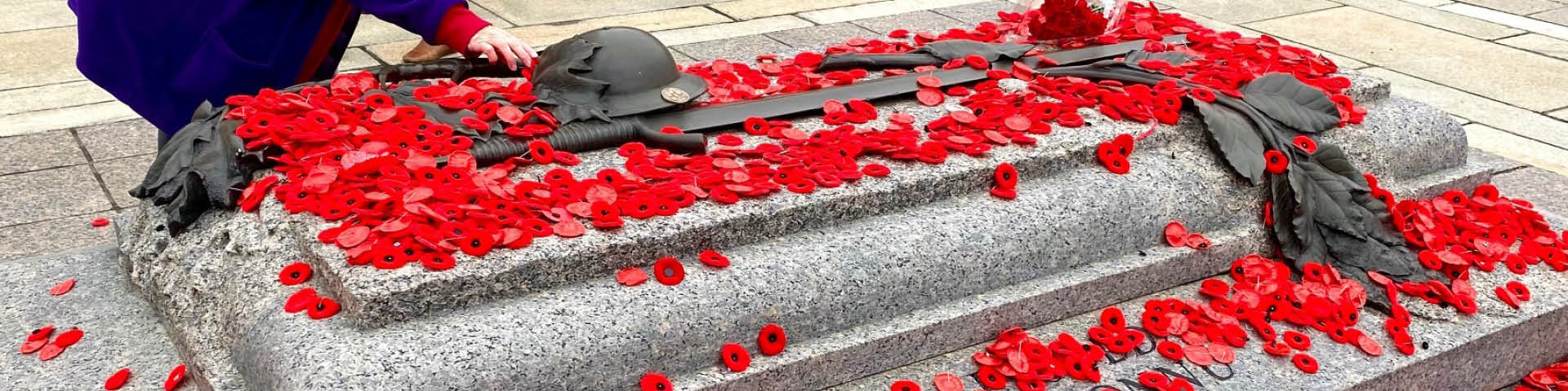 The hand of a person placing a single poppy among thousands of remembrance poppies on the Tomb of the Unknown Soldier in Ottawa.