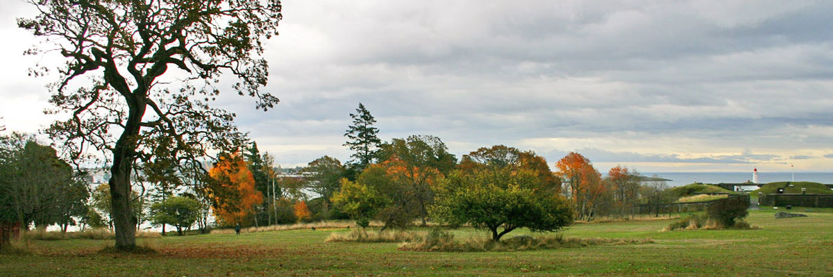 Fort Rodd Hill’s main field shows a very tall Garry Oak tree to the left of several other tree species in fall colours.