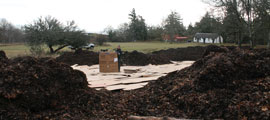 Mulch and recycled flattened cardboard boxes cover the ground.