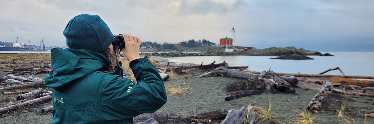 A person with binocular birdwatches.