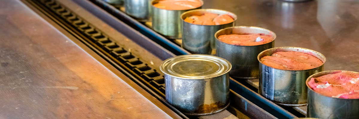 Cans filled with salmon on the canning line.