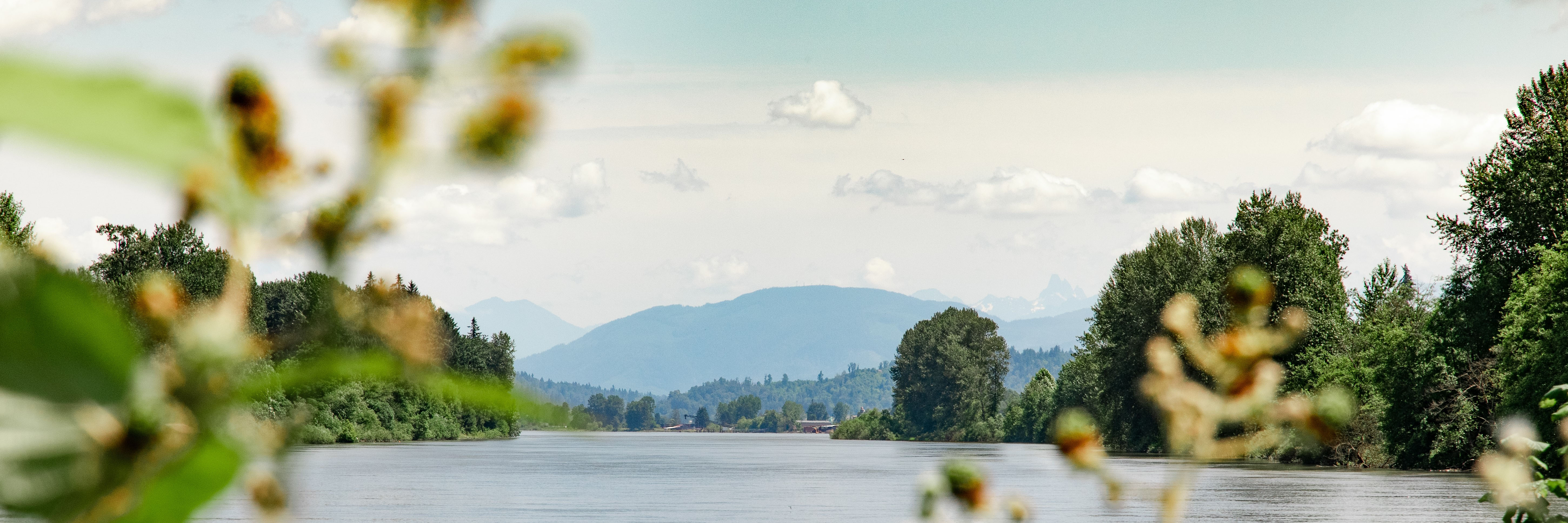 A view of the Fraser River as it flows past Fort Langley.