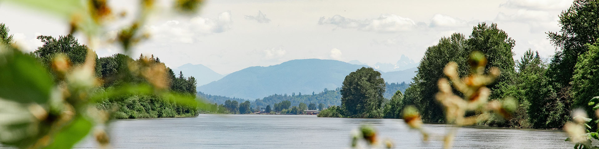 Vue sur le fleuve Fraser qui coule au-delà de fort Langley.