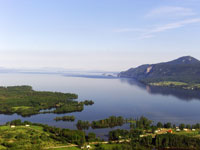 Stuart Lake