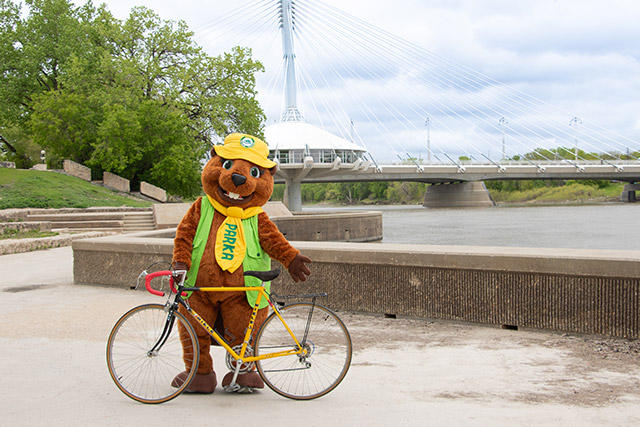 Une mascotte de castor tient un vélo et fait des gestes en se tenant debout sur un sentier avec une rivière et un pont en arrière-plan.