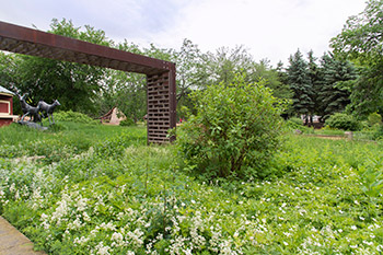 Green plants with white flowers surround a large bush.