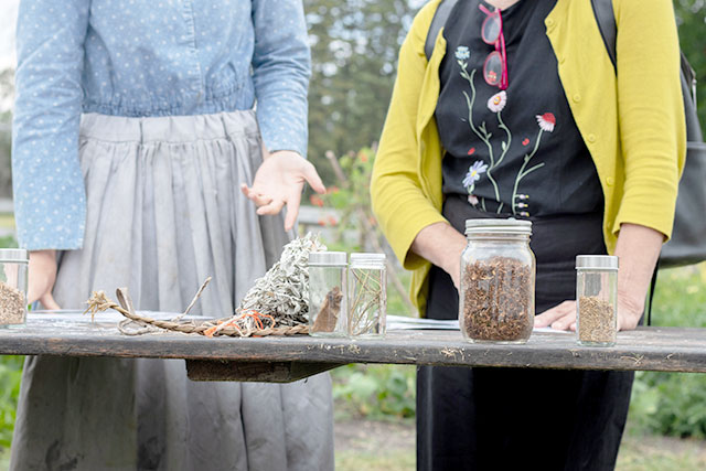 Closeup of a Parks Canada employee in historic clothing gesturing to plants, both loose and in jars, while speaking with a visitor.