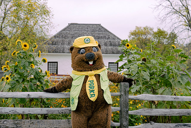 Parks Canada beaver mascot Parka leans on a wooden fence with sunflowers and a historic white building in the background.