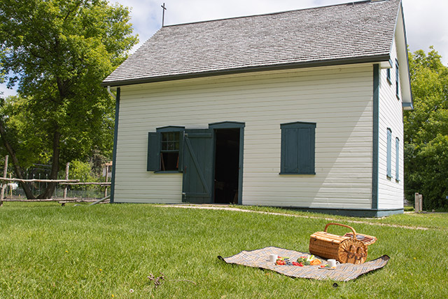 A basket and plates with fruits and vegetables on a picnic blanket on the lawn next to Riel House.