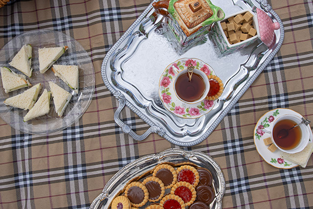 A picnic spread with tea, finger sandwiches and cookies. 