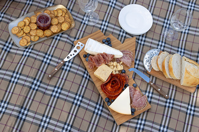 Fromages, craquelins, pain et charcuteries disposés sur des plateaux et des planches, posés sur une couverture de pique-nique.